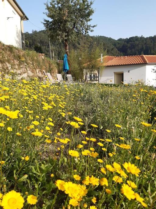 A Casa Com 2 Pereiras Bed & Breakfast Terras de Bouro Exterior foto