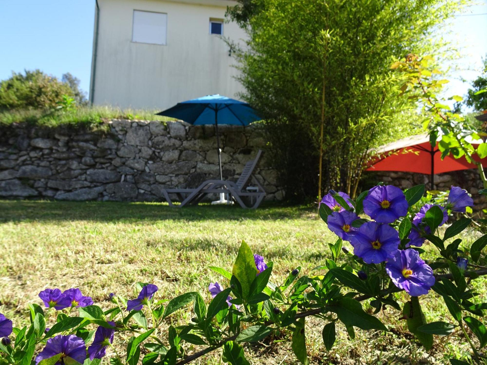 A Casa Com 2 Pereiras Bed & Breakfast Terras de Bouro Exterior foto